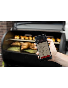 BBQ A PELLETS SMOKEFIRE EX4 GBS Weber 2